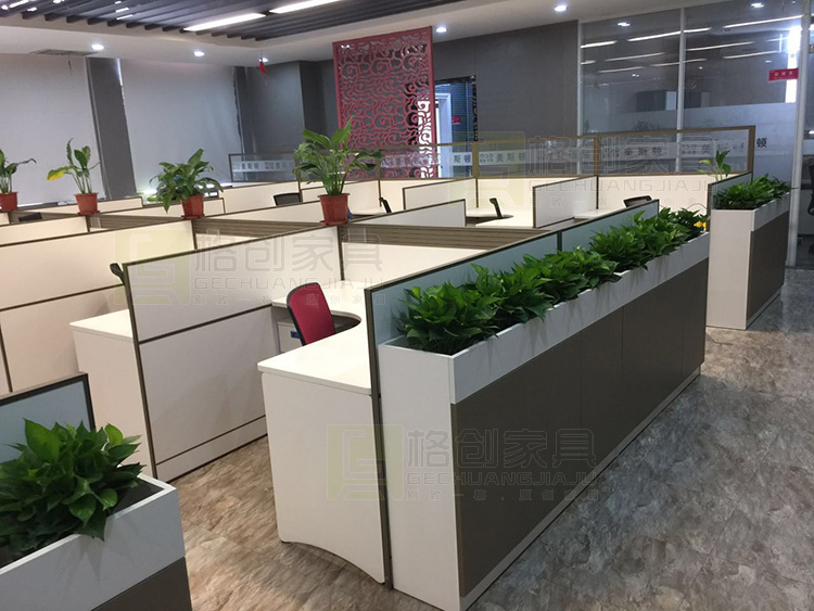 辦公室綠色植物